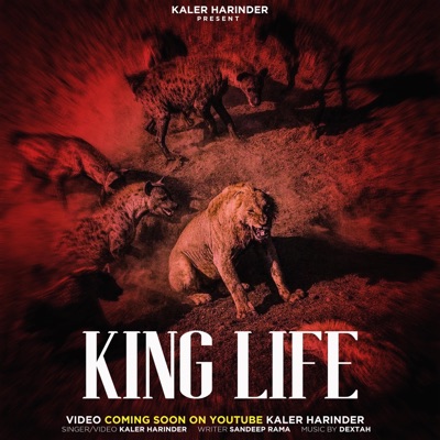 KinG LiFE - Single