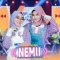 Nemu