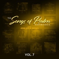 Songs of Psalm Experience, Vol. 7 - Evangelist John Kola-Idowu