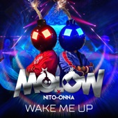 Wake Me Up (Radio Edit) artwork