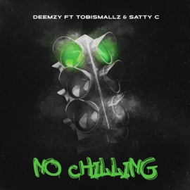 No Chilling (feat. Satty C & Tobi Smallz) Deemzy Green