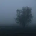 inner reflections