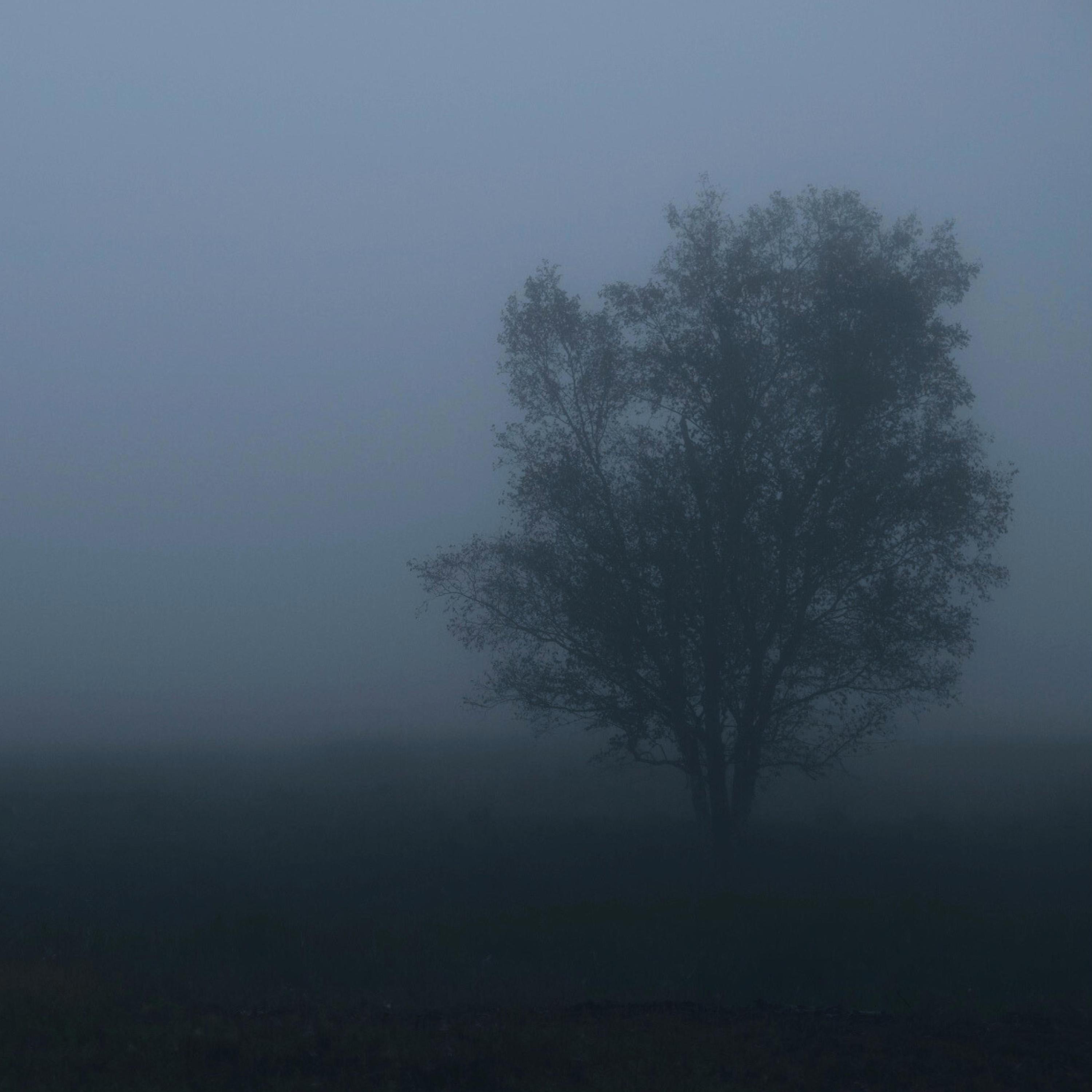 Inner Reflections - Single