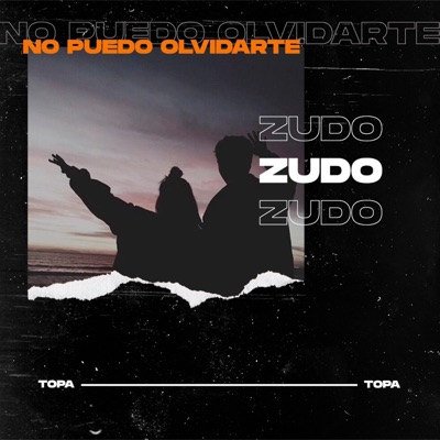 No puedo olvidarte (feat. Topa) - Single