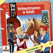 Adventskalender / Weihnachtsponys in Gefahr artwork