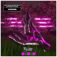 Voices - Single - NakyMine, SWISSHOLLY & DIFF3R3NT CLOUD