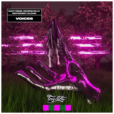 Voices - Single