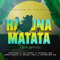 Hakuna Matata (feat. Lil Gary, Mainol MC, Niño Raidy, Ramil 093 & El Ganster RD) - Single - Velkan