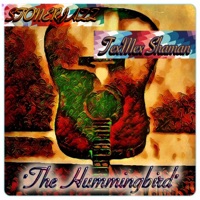 The Hummingbird - Single - TexMex Shaman & STONERJAZZ
