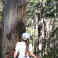 Wild Vowels (feat. Jaya Penelope) - Single - Sophie Moleta