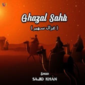 Ghazal Sahir artwork