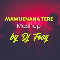 Mawuenana Téré Mashup (feat. Toofan & Kollins) [Remix] - Single - Dj Foog