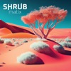 Shrubmatix (feat. Dubmatix) - Single