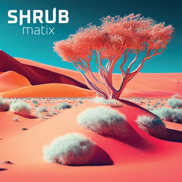 Shrubmatix (feat. Dubmatix) - Single