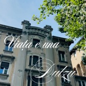 Viața e una artwork