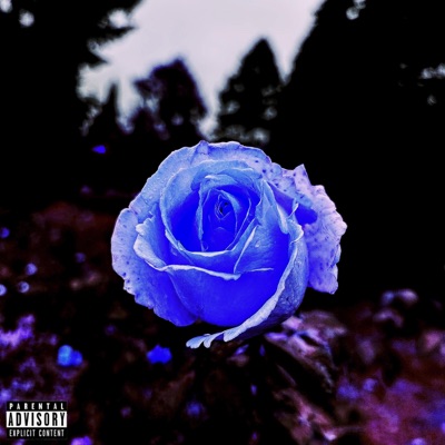 Time To Bloom - EP