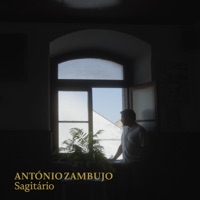Sagitário - António Zambujo