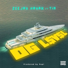 OG Level (feat. Tia) Zeejay Hayan