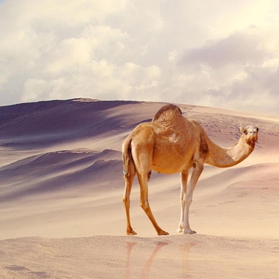 Random Interlude (feat. Junien Kush) - Single