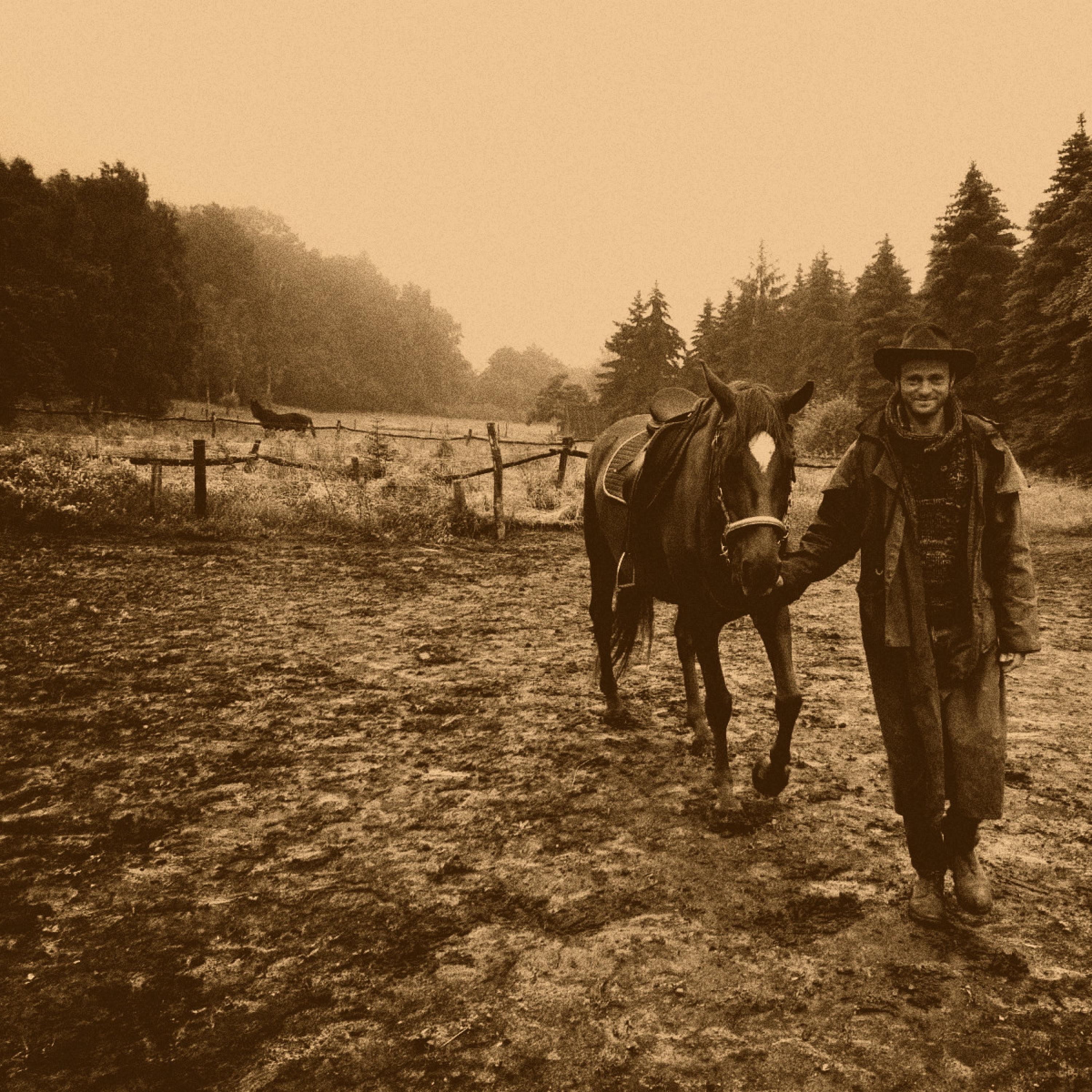 All die schönen Pferde - Single