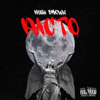 Pacto - Single - Kush Brown