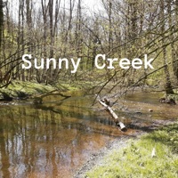 Sunny Creek - Single - Neele Harder