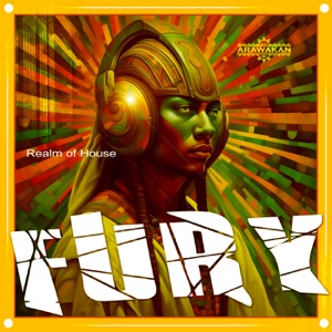 FURY (Remixes) - Single