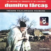 Dumitru Fărcaș - taragot, Vol. 1 artwork