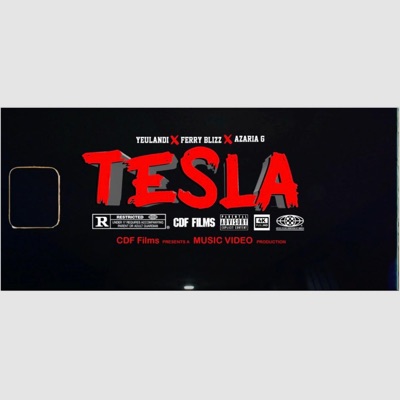Tesla (feat. Ferry Blizz & Azaria G) - Single