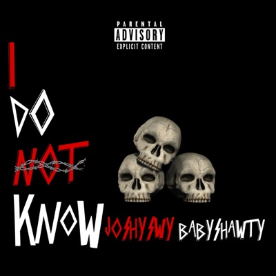 I Do Not Know (Sei Lá) [feat. babyshawty♡] - Single