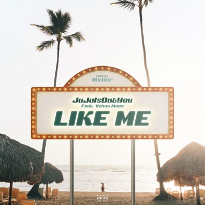 Like Me (feat. Vehnu Moon) - Single