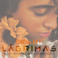 Lágrimas (feat. Dj The Real, Elo Simons & Cecibon Orozco) - Single - Demnt
