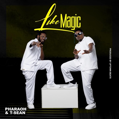 Like Magic - Single