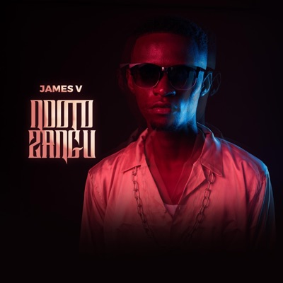 James V - Forever (feat. Echo254)