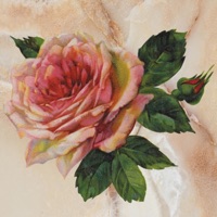 Relaxing - Single - Vanschuz