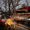 Entropy Atrophy