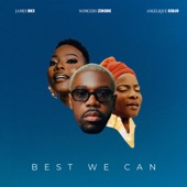 Best We Can artwork