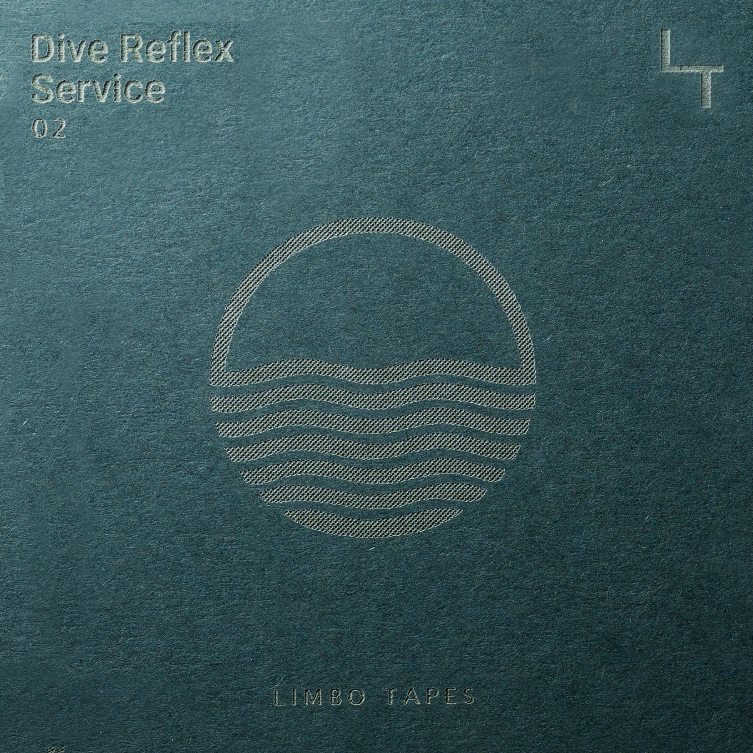 Dive Reflex Service 02