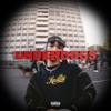 Underdogs - Single