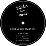 Groovebox Masters - 100