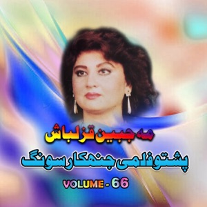 Pashto Filmi Jahankar Song, Vol. 66