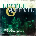 Little G Weevil - Spy Balloon Blues