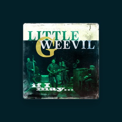 Little G Weevil