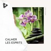 Calmer les Esprits