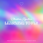 Learning To Fly artwork