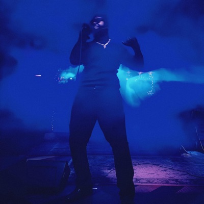 Performance & Alternate Mixes - EP