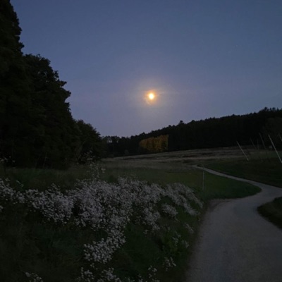 Never There - Single