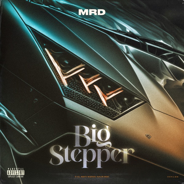 Big Stepper - Single