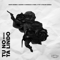 TU NO TA LINDO RMX (feat. Akanni, Yemil, Chamaco, Italian Somali & T.O.T) - Single - Mista Bombo