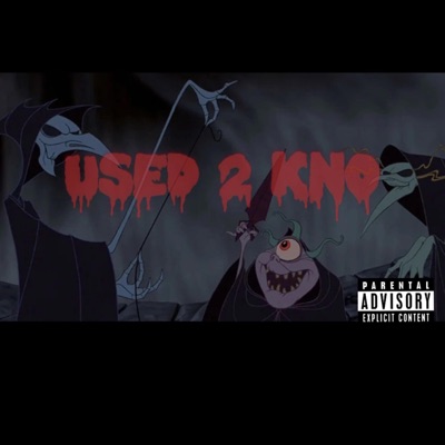 Used 2 Kno - Single